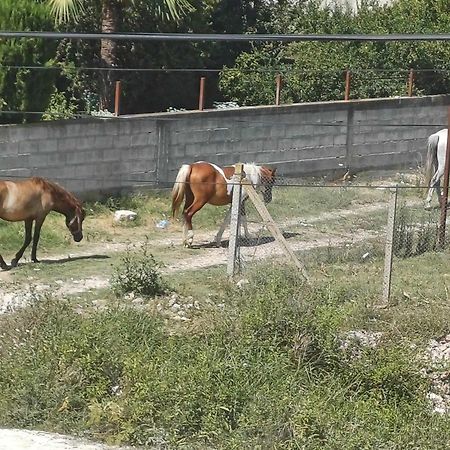Villa Likaj Berat Bagian luar foto