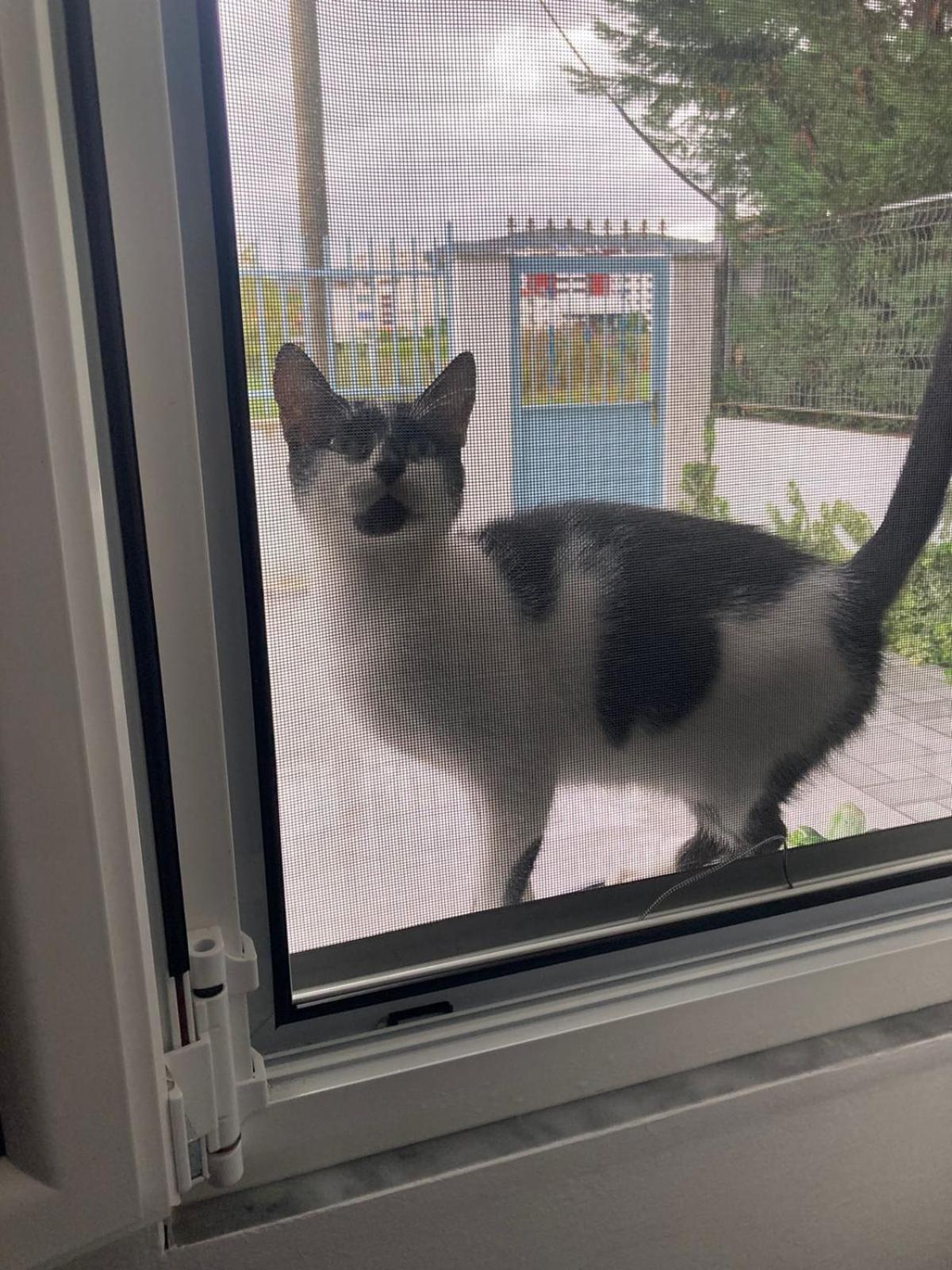 Villa Likaj Berat Bagian luar foto